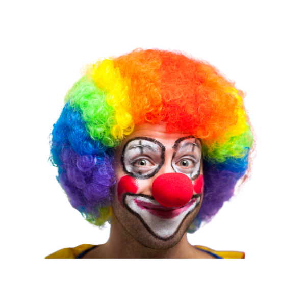 EverJoy Party Costume Accessories item - Classic Clown Wig - Image 2