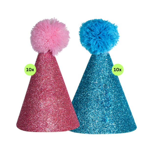 EverJoy Party - Party Accessories item - Blue & Pink Party Hat Set - Image 2