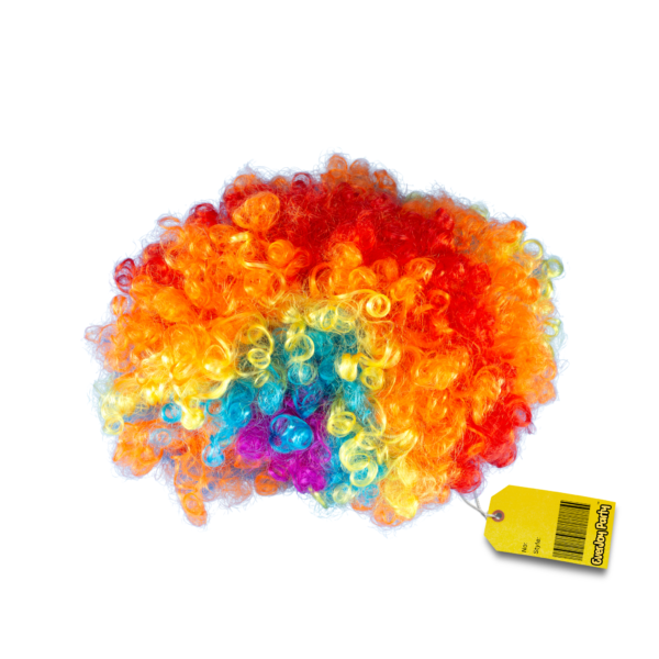 EverJoy Party Costume Accessories item - Classic Clown Wig